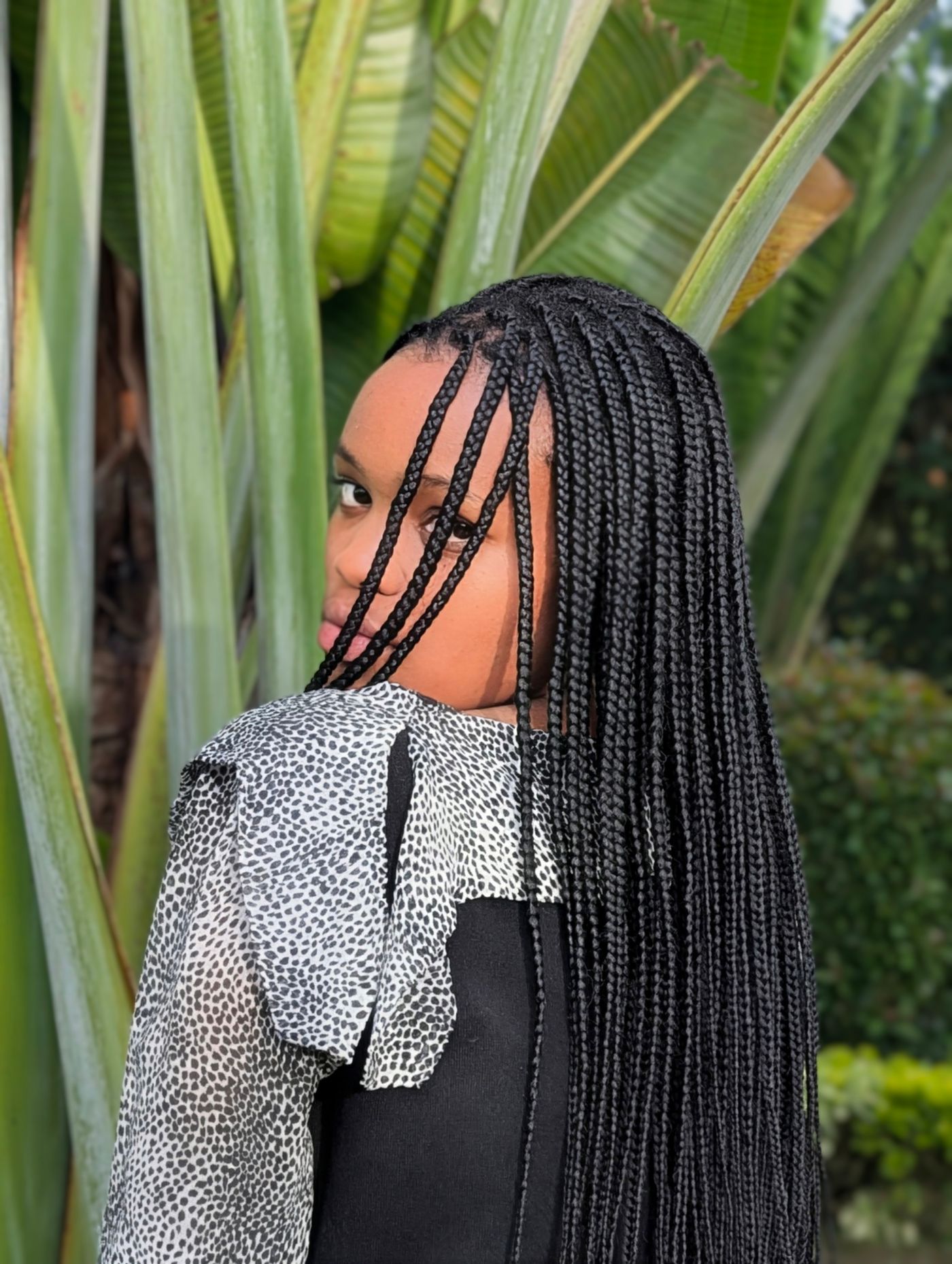 Back view of knotless braids with clean visible parts